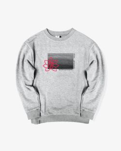 Толстовка SS_GRC/G