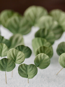 Набор вайнеров для лепки листьев эвкалипта Coprussia