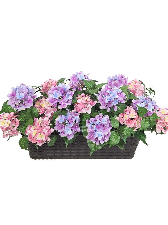 Гортензия розово-лиловая 70см в балконном ящике