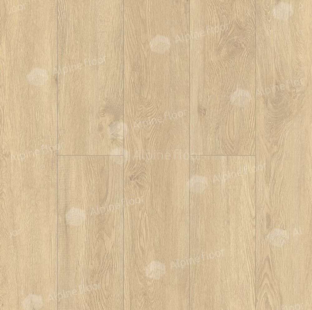 Ultra Камфора, 4,49 м²