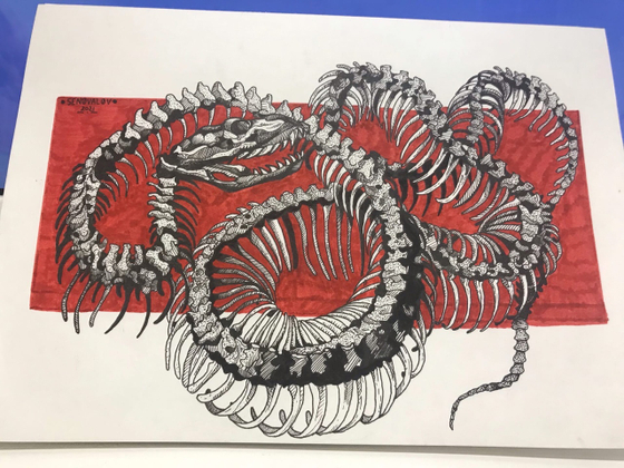 Скелет змеи