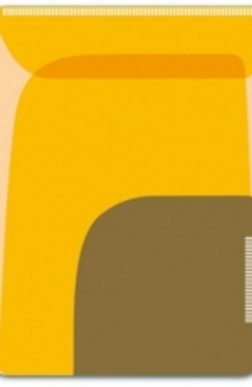 Папка-уголок для заметок арт.46726/12 ОРАНЖЕВЫЙ + ХАКИ (11х16) 2 шт.