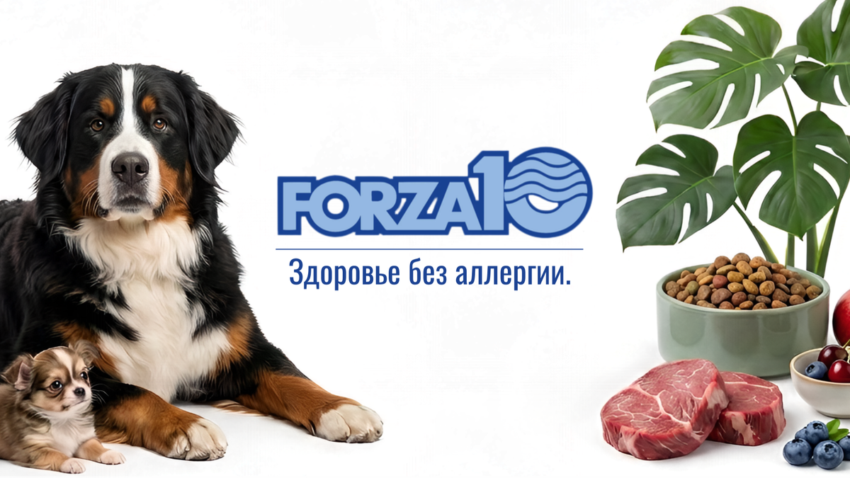 Forza10: итальянский ответ аллергии.