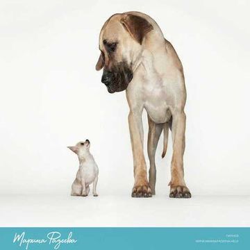 Перестать чувствовать себя хуже других и укрепить внутреннюю уверенность