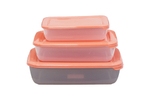 НАБОР ЕМКОСТЕЙ POLAR Д/ХРАНЕНИЯ ПРОДУКТОВ КОРАЛЛОВЫЙ 3ШТ РТ1685КОРАЛ