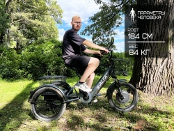 Электровелосипед GREEN CITY e-ALFA Trike (черный)