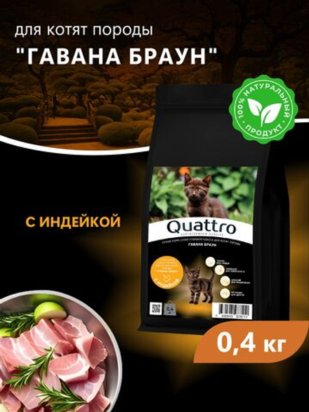 Корм сухой для котят породы Гавана браун, с индейкой, 400 гр, QUATTRO