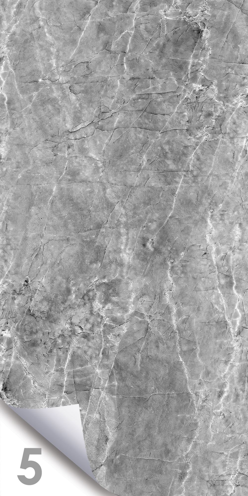 Шерл Сильвер