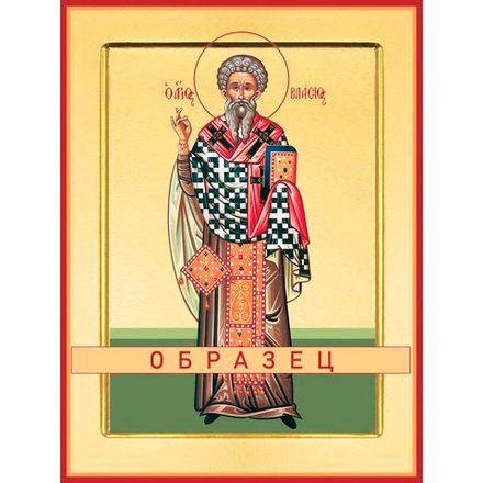 Священномученик Власий, епископ Севастийский Мч-83 (сщмч/В/2/1)