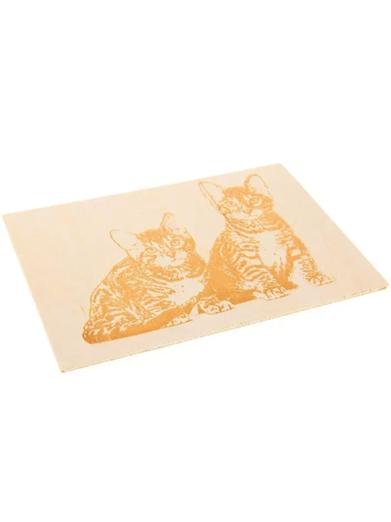 Набор Доски для выжигания Мастер к прибору выжигателю 01725