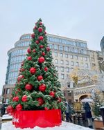 Уличная елка ствольная "Альпийская сосна" (леска) от 3 до 22 м