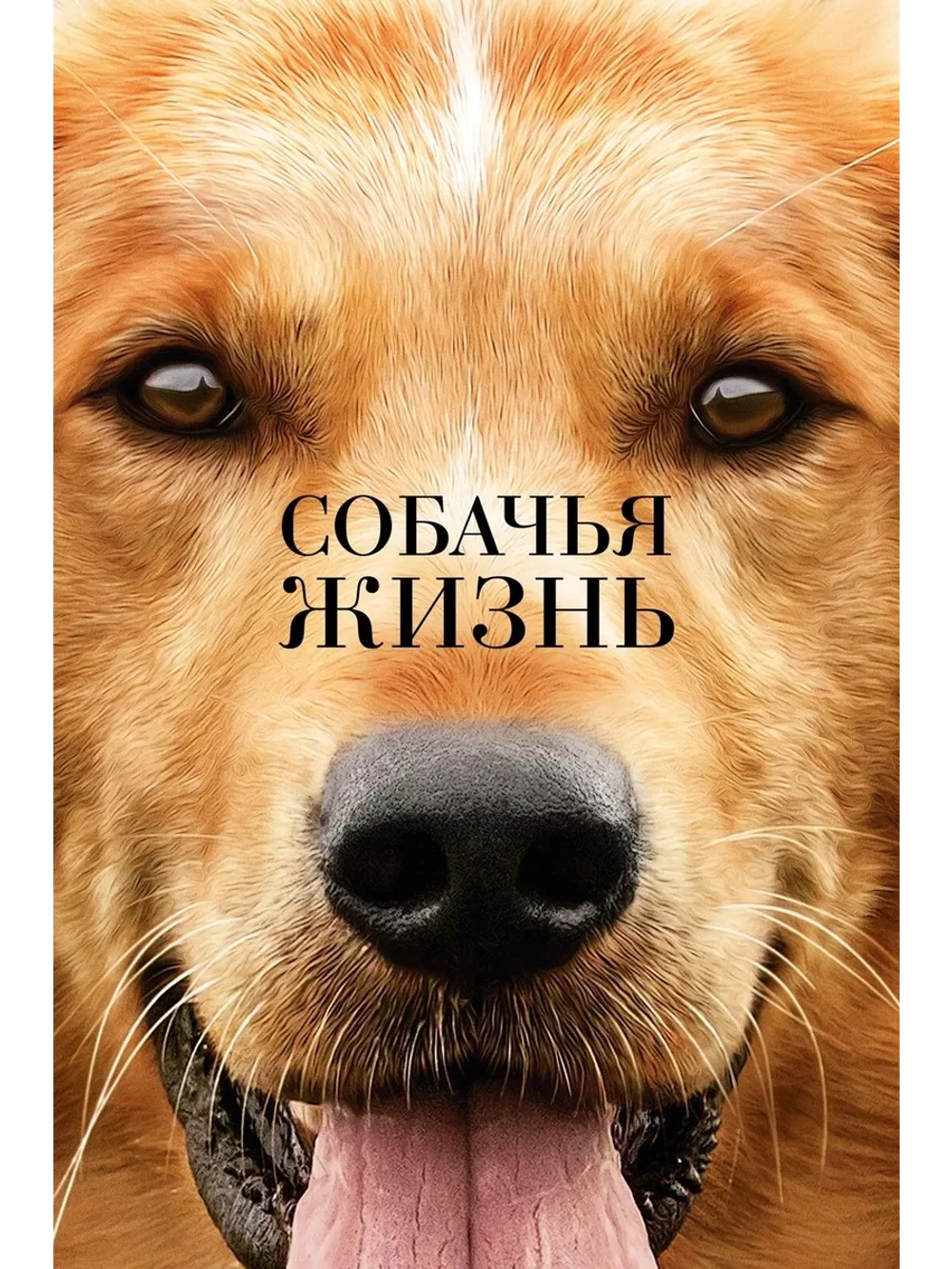 Собачья жизнь (2017) (DVD-R)