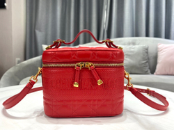 Christian Dior Small DiorTravel Vanity Case