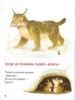 Как дружить с ежиком?