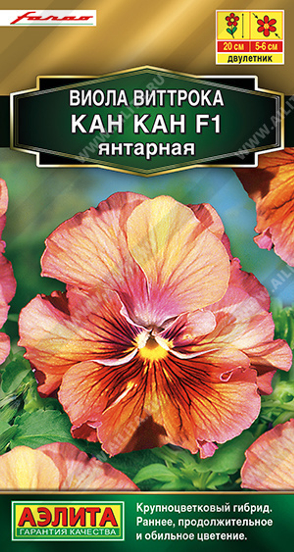 Виола Кан-кан янтарная 7шт Ц Аэлита