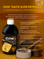 Сок Чаги клеточный с облепихой и прополисом, 450 мл Поддерживает работу желудочно-кишечного тракта