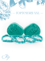Гортензия XXL