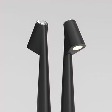 Светильник светодиодный настольный LED 2W 3000К/4000К/6000К TL70250 чёрный Elite Elektrostandard