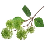 Цветок искусственный «Natur» 50см Каштан зеленый