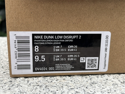 Nike Dunk Low Disrupt 2 DV4024-001