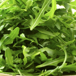 Триция семена рукколы (Enza Zaden / Энза Заден)