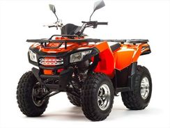 Квадроцикл MOTOLAND 200 Max