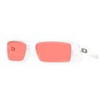 Oakley Gascan Очки