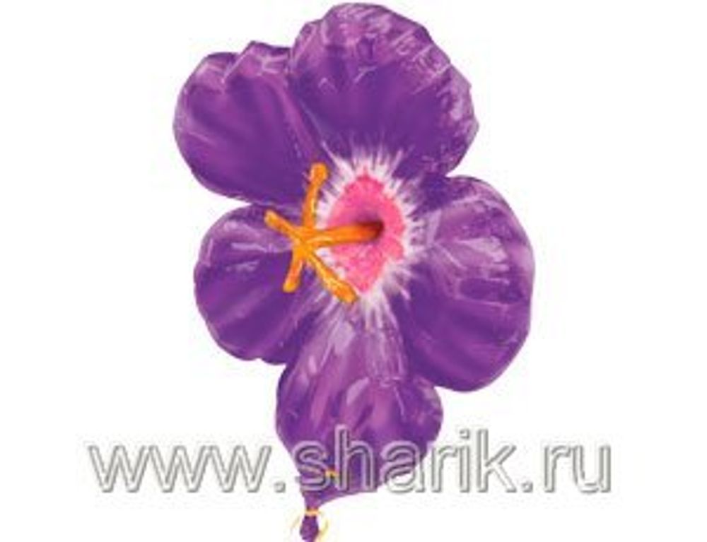 А ФИГУРА/P40 Гибискус фиолетовый