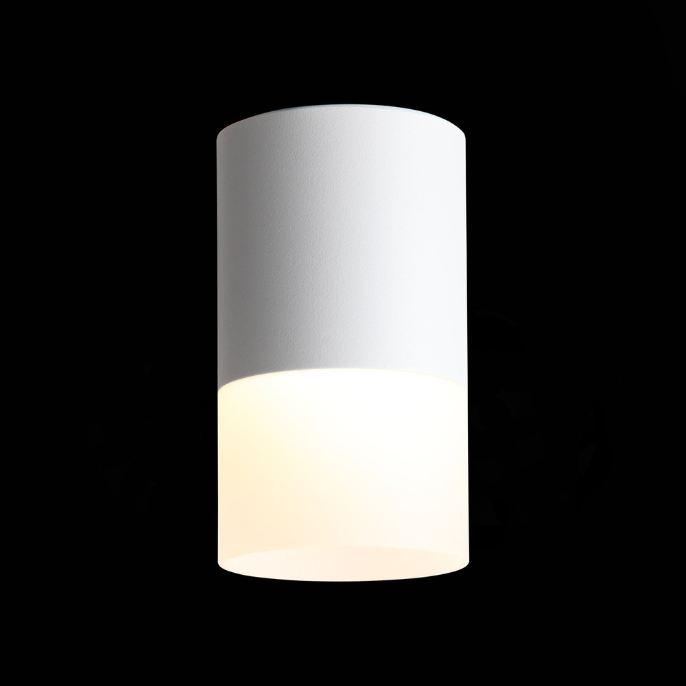 ST100.502.10 Светильник потолочный Белый LED 1*10W 3000K 780Lm Ra&gt;80 120° D78xH135 170-240V Накладные светильники