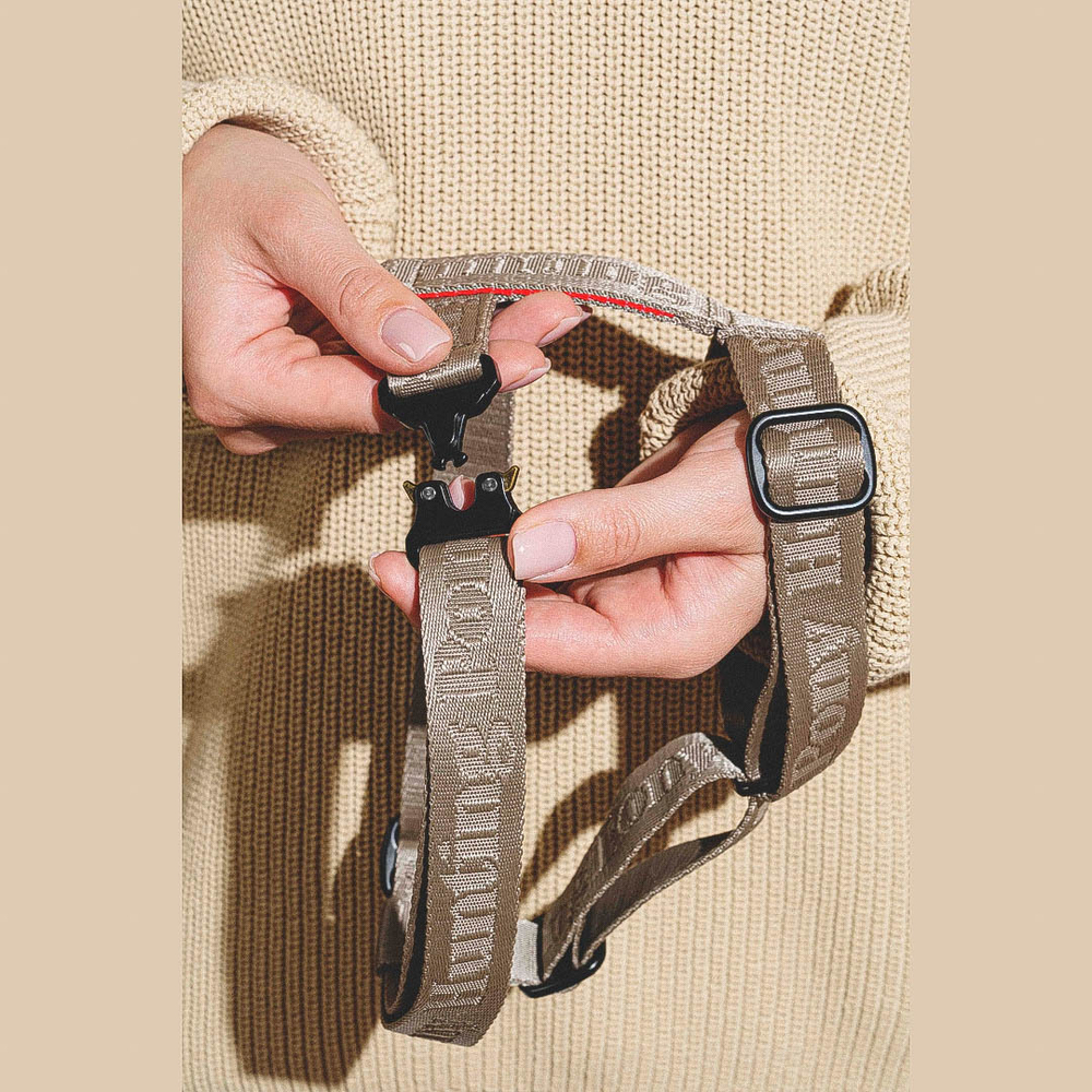 Шлейка «Пони-Компаньони» HuntingPony