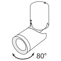 Спот Maytoni   C019CW-01W