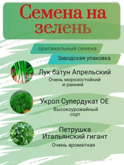 Семена на зелень