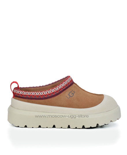 TAZZ HYBRID - chestnut white