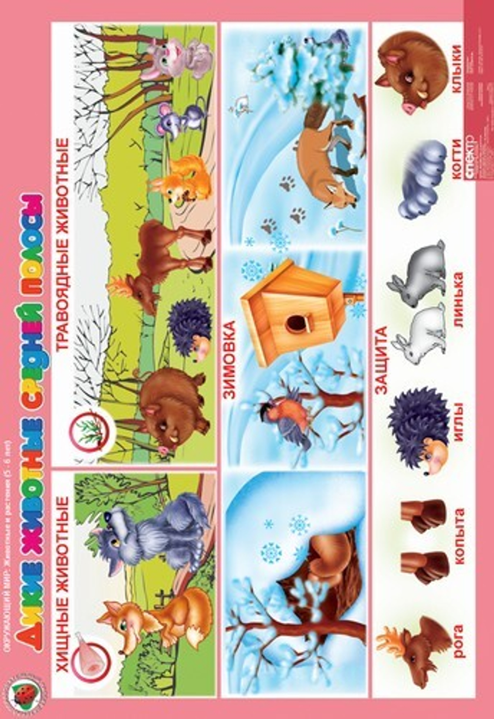 Комплект таблиц Окружающий мир 5-6 лет "Животные и растения" (12 таблиц+16 карт.)