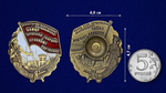 Знак "Бойцу Красной гвардии и Красному партизану"