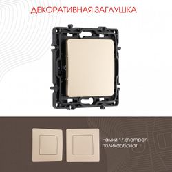 Заглушка для поста, без рамки Arte Milano am-217 217.50-1.shampan