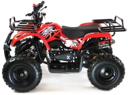 Квадроцикл MOTAX ATV Mini Grizlik X-16 (э/с)