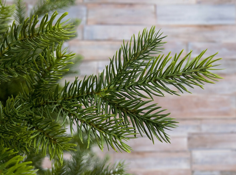 Ель 260см Black Box Датская 100% литая зеленая