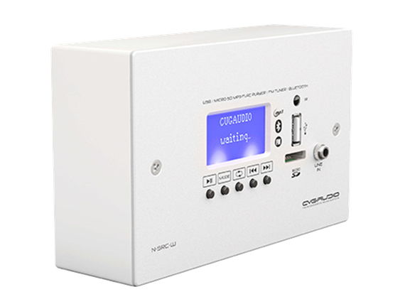 CVGAUDIO WS-NSRC-W - декоративный короб для накладного монтажа внешних настенных источников сигнала N-SRC