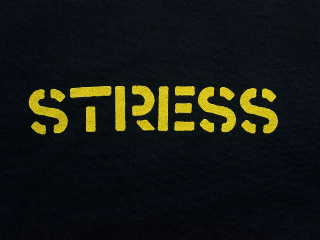 Футболка STRESS "STRESSED"