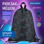 Мешок для обуви BRAUBERG большой удобный с ручкой 51х41 см Goblincore (2 штуки в упаковке)