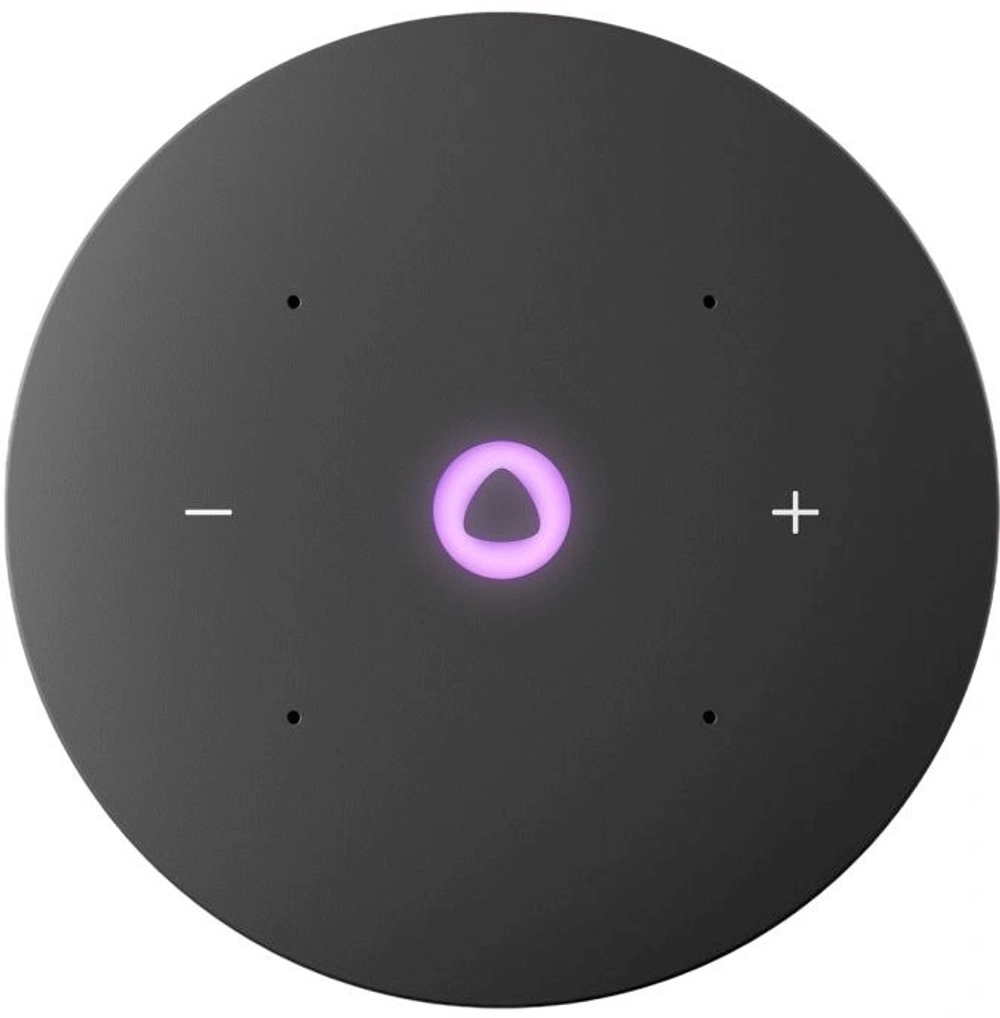 Умная колонка Yandex Станция Мини 3 Алиса черный 12W 1.0 BT/Wi-Fi (YNDX-00027BLK)