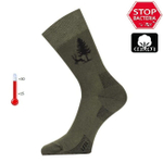 Носки Lasting LFSL 620, cotton+polyamide, зеленый с рисунком, размер S, LFSL620-S