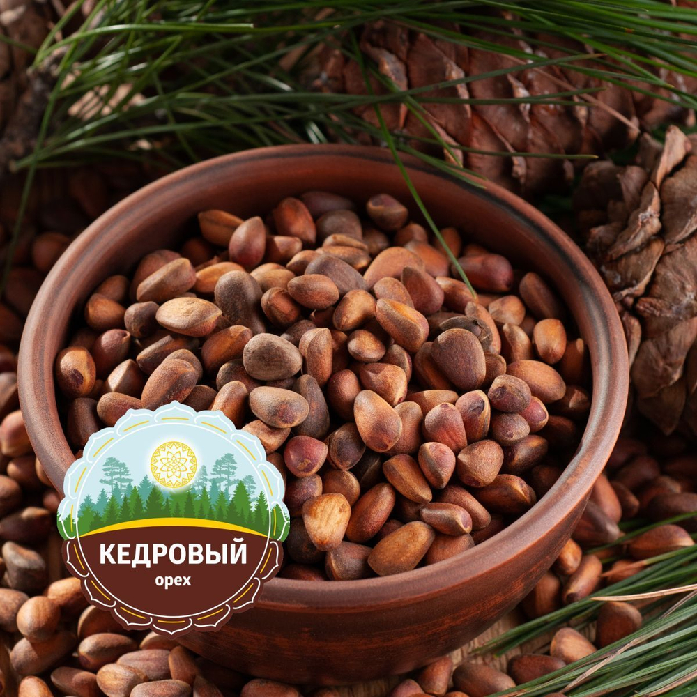 Орех кедровый Алтай.