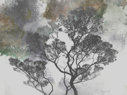 Коллекция VETVE 21