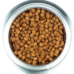Core (беззерновой) корм для собак средних пород с индейкой (Adult Original Medium Breed)