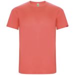 Мужская спортивная футболка Imola с коротким рукавом