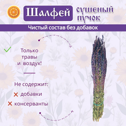 Шалфей пучок.
