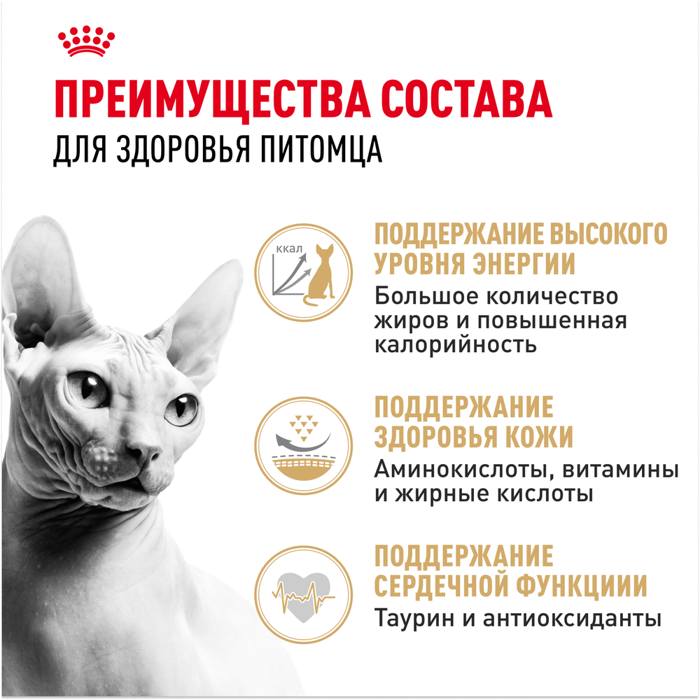 Royal Canin Sphynx Adult Корм сухой сбалансированный для взрослых кошек породы Сфинкс 10кг