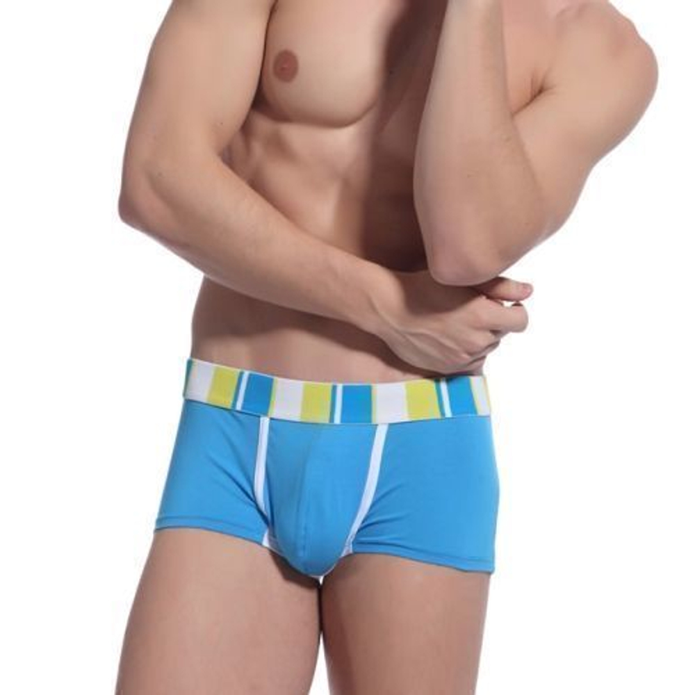 Мужские трусы боксеры голубые ZPOH Vitality Boxer Blue